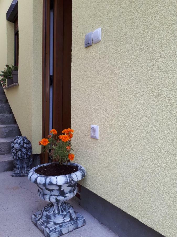 Apartment Dujica เซนญ์ ภายนอก รูปภาพ